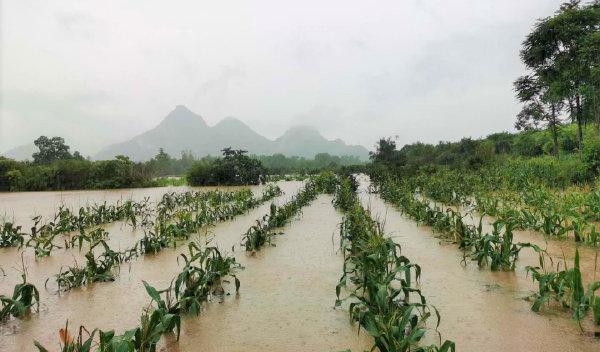 村庄农田被淹,有的地方还出现了泥石流等地质灾害